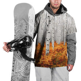 Накидка на куртку 3D с принтом Березовая роща в Белгороде, 100% полиэстер |  | Тематика изображения на принте: birch | birch grove | ferns | forest | trees | березовая | березы | деревья | лес | папоротник | роща