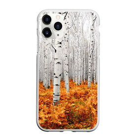Чехол для iPhone 11 Pro матовый с принтом Березовая роща в Белгороде, Силикон |  | birch | birch grove | ferns | forest | trees | березовая | березы | деревья | лес | папоротник | роща
