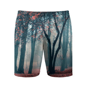 Мужские шорты 3D спортивные с принтом Осень в Белгороде,  |  | autumn | bright | colors | forest | paint | trees | деревья | краски | лес | осень | цвета | яркие