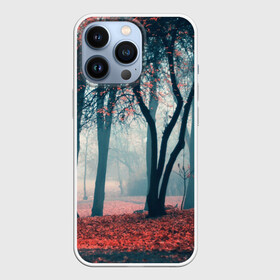 Чехол для iPhone 13 Pro с принтом Осень в Белгороде,  |  | autumn | bright | colors | forest | paint | trees | деревья | краски | лес | осень | цвета | яркие