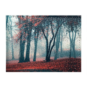 Обложка для студенческого билета с принтом Осень в Белгороде, натуральная кожа | Размер: 11*8 см; Печать на всей внешней стороне | autumn | bright | colors | forest | paint | trees | деревья | краски | лес | осень | цвета | яркие