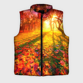 Мужской жилет утепленный 3D с принтом Осень в Белгороде,  |  | autumn | bright | colors | forest | trees | деревья | краски | лес | лучи | осень | солнце | цвета | яркие
