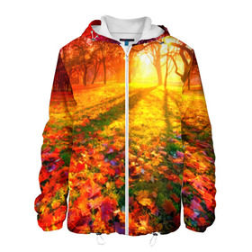 Мужская куртка 3D с принтом Осень в Белгороде, ткань верха — 100% полиэстер, подклад — флис | прямой крой, подол и капюшон оформлены резинкой с фиксаторами, два кармана без застежек по бокам, один большой потайной карман на груди. Карман на груди застегивается на липучку | autumn | bright | colors | forest | trees | деревья | краски | лес | лучи | осень | солнце | цвета | яркие