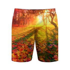 Мужские шорты 3D спортивные с принтом Осень в Белгороде,  |  | autumn | bright | colors | forest | trees | деревья | краски | лес | лучи | осень | солнце | цвета | яркие