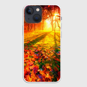 Чехол для iPhone 13 mini с принтом Осень в Белгороде,  |  | autumn | bright | colors | forest | trees | деревья | краски | лес | лучи | осень | солнце | цвета | яркие