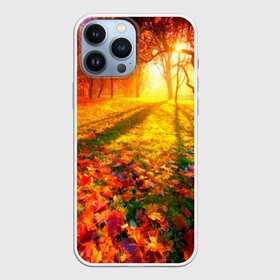 Чехол для iPhone 13 Pro Max с принтом Осень в Белгороде,  |  | Тематика изображения на принте: autumn | bright | colors | forest | trees | деревья | краски | лес | лучи | осень | солнце | цвета | яркие