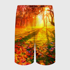 Детские спортивные шорты 3D с принтом Осень в Белгороде,  100% полиэстер
 | пояс оформлен широкой мягкой резинкой, ткань тянется
 | autumn | bright | colors | forest | trees | деревья | краски | лес | лучи | осень | солнце | цвета | яркие