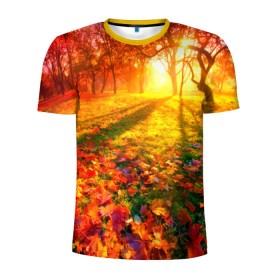 Мужская футболка 3D спортивная с принтом Осень в Белгороде, 100% полиэстер с улучшенными характеристиками | приталенный силуэт, круглая горловина, широкие плечи, сужается к линии бедра | Тематика изображения на принте: autumn | bright | colors | forest | trees | деревья | краски | лес | лучи | осень | солнце | цвета | яркие