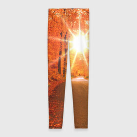 Леггинсы 3D с принтом Осеннее солнце в Белгороде, 80% полиэстер, 20% эластан | Эластичный пояс, зауженные к низу, низкая посадка | autumn | bright | colors | forest | trees | деревья | дорога | краски | лес | лучи | осень | солнце | цвета | яркие
