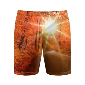 Мужские шорты 3D спортивные с принтом Осеннее солнце в Белгороде,  |  | autumn | bright | colors | forest | trees | деревья | дорога | краски | лес | лучи | осень | солнце | цвета | яркие