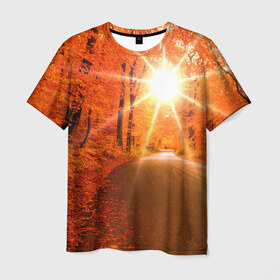 Мужская футболка 3D с принтом Осеннее солнце в Белгороде, 100% полиэфир | прямой крой, круглый вырез горловины, длина до линии бедер | Тематика изображения на принте: autumn | bright | colors | forest | trees | деревья | дорога | краски | лес | лучи | осень | солнце | цвета | яркие