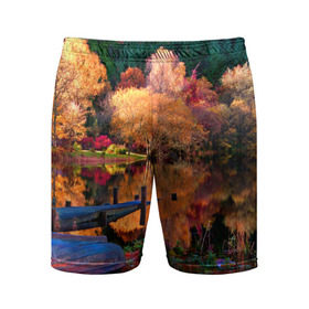 Мужские шорты 3D спортивные с принтом Осень в Белгороде,  |  | autumn | boat | bright | colors | forest | paint | river | trees | деревья | краски | лес | лодка | осень | река | цвета | яркие