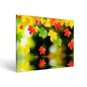 Холст прямоугольный с принтом Осень в Белгороде, 100% ПВХ |  | autumn | bright | color | forest | leaves | maple | paint | reflection | river | trees | деревья | клён | краски | лес | листья | осень | отражение | река | цвета | яркие