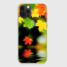 Чехол для iPhone 12 Pro Max с принтом Осень в Белгороде, Силикон |  | autumn | bright | color | forest | leaves | maple | paint | reflection | river | trees | деревья | клён | краски | лес | листья | осень | отражение | река | цвета | яркие