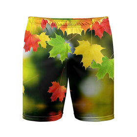 Мужские шорты 3D спортивные с принтом Осень в Белгороде,  |  | autumn | bright | color | forest | leaves | maple | paint | reflection | river | trees | деревья | клён | краски | лес | листья | осень | отражение | река | цвета | яркие