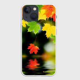 Чехол для iPhone 13 mini с принтом Осень в Белгороде,  |  | autumn | bright | color | forest | leaves | maple | paint | reflection | river | trees | деревья | клён | краски | лес | листья | осень | отражение | река | цвета | яркие