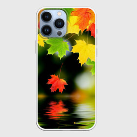 Чехол для iPhone 13 Pro Max с принтом Осень в Белгороде,  |  | Тематика изображения на принте: autumn | bright | color | forest | leaves | maple | paint | reflection | river | trees | деревья | клён | краски | лес | листья | осень | отражение | река | цвета | яркие