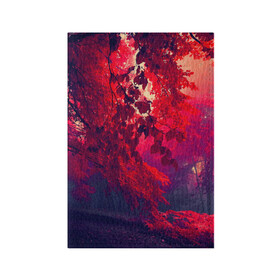 Обложка для паспорта матовая кожа с принтом Осень в Белгороде, натуральная матовая кожа | размер 19,3 х 13,7 см; прозрачные пластиковые крепления | autumn | bright | colors | forest | trees | деревья | краски | лес | лучи | осень | солнце | цвета | яркие