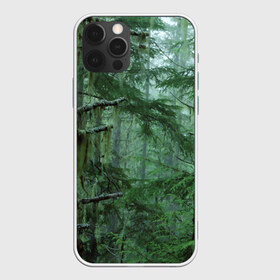 Чехол для iPhone 12 Pro Max с принтом Дремучий лес в Белгороде, Силикон |  | Тематика изображения на принте: camouflage | dense | fog | forest | spruce | tree | дремучий | ёлка | ельник | камуфляж | лес | маскировка | туман