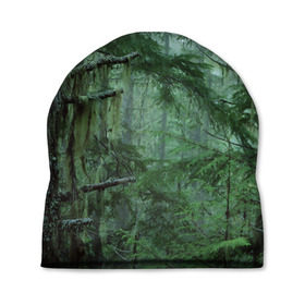 Шапка 3D с принтом Дремучий лес в Белгороде, 100% полиэстер | универсальный размер, печать по всей поверхности изделия | camouflage | dense | fog | forest | spruce | tree | дремучий | ёлка | ельник | камуфляж | лес | маскировка | туман