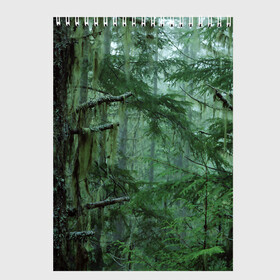 Скетчбук с принтом Дремучий лес в Белгороде, 100% бумага
 | 48 листов, плотность листов — 100 г/м2, плотность картонной обложки — 250 г/м2. Листы скреплены сверху удобной пружинной спиралью | camouflage | dense | fog | forest | spruce | tree | дремучий | ёлка | ельник | камуфляж | лес | маскировка | туман