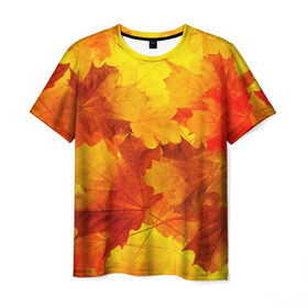 Мужская футболка 3D с принтом Осень в Белгороде, 100% полиэфир | прямой крой, круглый вырез горловины, длина до линии бедер | autumn | bright | color | forest | leaves | maple | paint | trees | деревья | клен | краски | лес | листья | осень | цвета | яркие