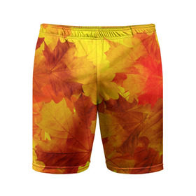 Мужские шорты 3D спортивные с принтом Осень в Белгороде,  |  | autumn | bright | color | forest | leaves | maple | paint | trees | деревья | клен | краски | лес | листья | осень | цвета | яркие