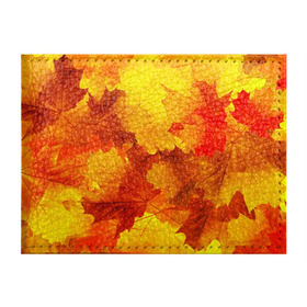 Обложка для студенческого билета с принтом Осень в Белгороде, натуральная кожа | Размер: 11*8 см; Печать на всей внешней стороне | autumn | bright | color | forest | leaves | maple | paint | trees | деревья | клен | краски | лес | листья | осень | цвета | яркие