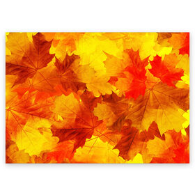 Поздравительная открытка с принтом Осень в Белгороде, 100% бумага | плотность бумаги 280 г/м2, матовая, на обратной стороне линовка и место для марки
 | autumn | bright | color | forest | leaves | maple | paint | trees | деревья | клен | краски | лес | листья | осень | цвета | яркие
