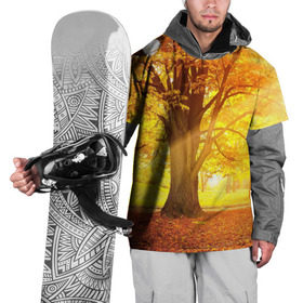 Накидка на куртку 3D с принтом Осень в Белгороде, 100% полиэстер |  | Тематика изображения на принте: autumn | bright | colors | forest | paint | trees | деревья | краски | лес | осень | цвета | яркие