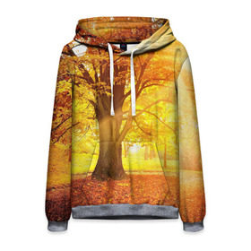 Мужская толстовка 3D с принтом Осень в Белгороде, 100% полиэстер | двухслойный капюшон со шнурком для регулировки, мягкие манжеты на рукавах и по низу толстовки, спереди карман-кенгуру с мягким внутренним слоем. | autumn | bright | colors | forest | paint | trees | деревья | краски | лес | осень | цвета | яркие
