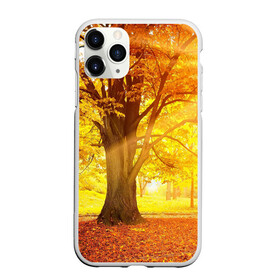 Чехол для iPhone 11 Pro Max матовый с принтом Осень в Белгороде, Силикон |  | autumn | bright | colors | forest | paint | trees | деревья | краски | лес | осень | цвета | яркие