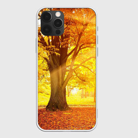 Чехол для iPhone 12 Pro Max с принтом Осень в Белгороде, Силикон |  | autumn | bright | colors | forest | paint | trees | деревья | краски | лес | осень | цвета | яркие