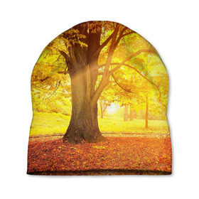 Шапка 3D с принтом Осень в Белгороде, 100% полиэстер | универсальный размер, печать по всей поверхности изделия | Тематика изображения на принте: autumn | bright | colors | forest | paint | trees | деревья | краски | лес | осень | цвета | яркие