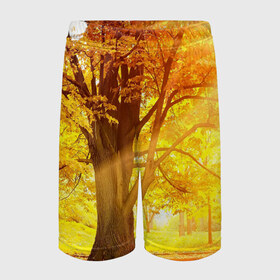 Детские спортивные шорты 3D с принтом Осень в Белгороде,  100% полиэстер
 | пояс оформлен широкой мягкой резинкой, ткань тянется
 | autumn | bright | colors | forest | paint | trees | деревья | краски | лес | осень | цвета | яркие