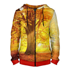 Мужская толстовка 3D на молнии с принтом Осень в Белгороде, 100% полиэстер | длина до линии бедра, манжеты и пояс оформлены мягкой тканевой резинкой, двухслойный капюшон со шнурком для регулировки, спереди молния, по бокам два кармана | Тематика изображения на принте: autumn | bright | colors | forest | paint | trees | деревья | краски | лес | осень | цвета | яркие