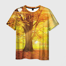 Мужская футболка 3D с принтом Осень в Белгороде, 100% полиэфир | прямой крой, круглый вырез горловины, длина до линии бедер | Тематика изображения на принте: autumn | bright | colors | forest | paint | trees | деревья | краски | лес | осень | цвета | яркие