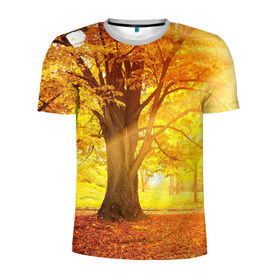 Мужская футболка 3D спортивная с принтом Осень в Белгороде, 100% полиэстер с улучшенными характеристиками | приталенный силуэт, круглая горловина, широкие плечи, сужается к линии бедра | autumn | bright | colors | forest | paint | trees | деревья | краски | лес | осень | цвета | яркие