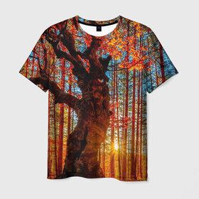 Мужская футболка 3D с принтом Осень в Белгороде, 100% полиэфир | прямой крой, круглый вырез горловины, длина до линии бедер | autumn | bright | colors | forest | trees | деревья | краски | лес | лучи | осень | солнце | цвета | яркие
