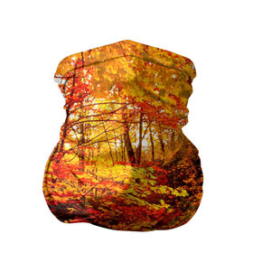 Бандана-труба 3D с принтом Осень в Белгороде, 100% полиэстер, ткань с особыми свойствами — Activecool | плотность 150‒180 г/м2; хорошо тянется, но сохраняет форму | autumn | bright | colors | forest | paint | trees | деревья | краски | лес | осень | цвета | яркие