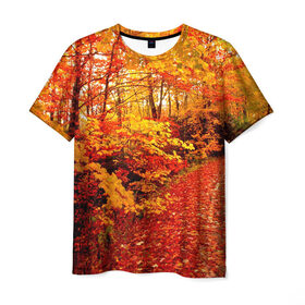 Мужская футболка 3D с принтом Осень в Белгороде, 100% полиэфир | прямой крой, круглый вырез горловины, длина до линии бедер | autumn | bright | colors | forest | paint | trees | деревья | краски | лес | осень | цвета | яркие