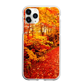 Чехол для iPhone 11 Pro Max матовый с принтом Осень в Белгороде, Силикон |  | autumn | bright | colors | forest | paint | trees | деревья | краски | лес | осень | цвета | яркие