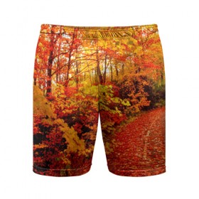 Мужские шорты 3D спортивные с принтом Осень в Белгороде,  |  | autumn | bright | colors | forest | paint | trees | деревья | краски | лес | осень | цвета | яркие