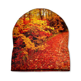 Шапка 3D с принтом Осень в Белгороде, 100% полиэстер | универсальный размер, печать по всей поверхности изделия | Тематика изображения на принте: autumn | bright | colors | forest | paint | trees | деревья | краски | лес | осень | цвета | яркие
