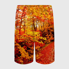 Детские спортивные шорты 3D с принтом Осень в Белгороде,  100% полиэстер
 | пояс оформлен широкой мягкой резинкой, ткань тянется
 | autumn | bright | colors | forest | paint | trees | деревья | краски | лес | осень | цвета | яркие
