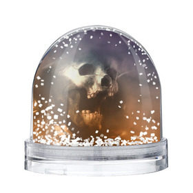 Снежный шар с принтом Doom в Белгороде, Пластик | Изображение внутри шара печатается на глянцевой фотобумаге с двух сторон | doom | skull | slayer | палач | скелет | череп