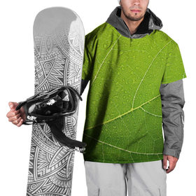 Накидка на куртку 3D с принтом Листик 2 в Белгороде, 100% полиэстер |  | зеленый | зелень | лист | природа | растения