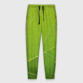 Мужские брюки 3D с принтом Листик 2 в Белгороде, 100% полиэстер | манжеты по низу, эластичный пояс регулируется шнурком, по бокам два кармана без застежек, внутренняя часть кармана из мелкой сетки | зеленый | зелень | лист | природа | растения