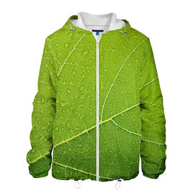 Мужская куртка 3D с принтом Листик 2 в Белгороде, ткань верха — 100% полиэстер, подклад — флис | прямой крой, подол и капюшон оформлены резинкой с фиксаторами, два кармана без застежек по бокам, один большой потайной карман на груди. Карман на груди застегивается на липучку | зеленый | зелень | лист | природа | растения