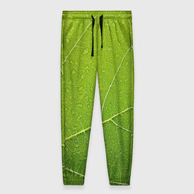 Женские брюки 3D с принтом Листик 2 в Белгороде, полиэстер 100% | прямой крой, два кармана без застежек по бокам, с мягкой трикотажной резинкой на поясе и по низу штанин. В поясе для дополнительного комфорта — широкие завязки | зеленый | зелень | лист | природа | растения